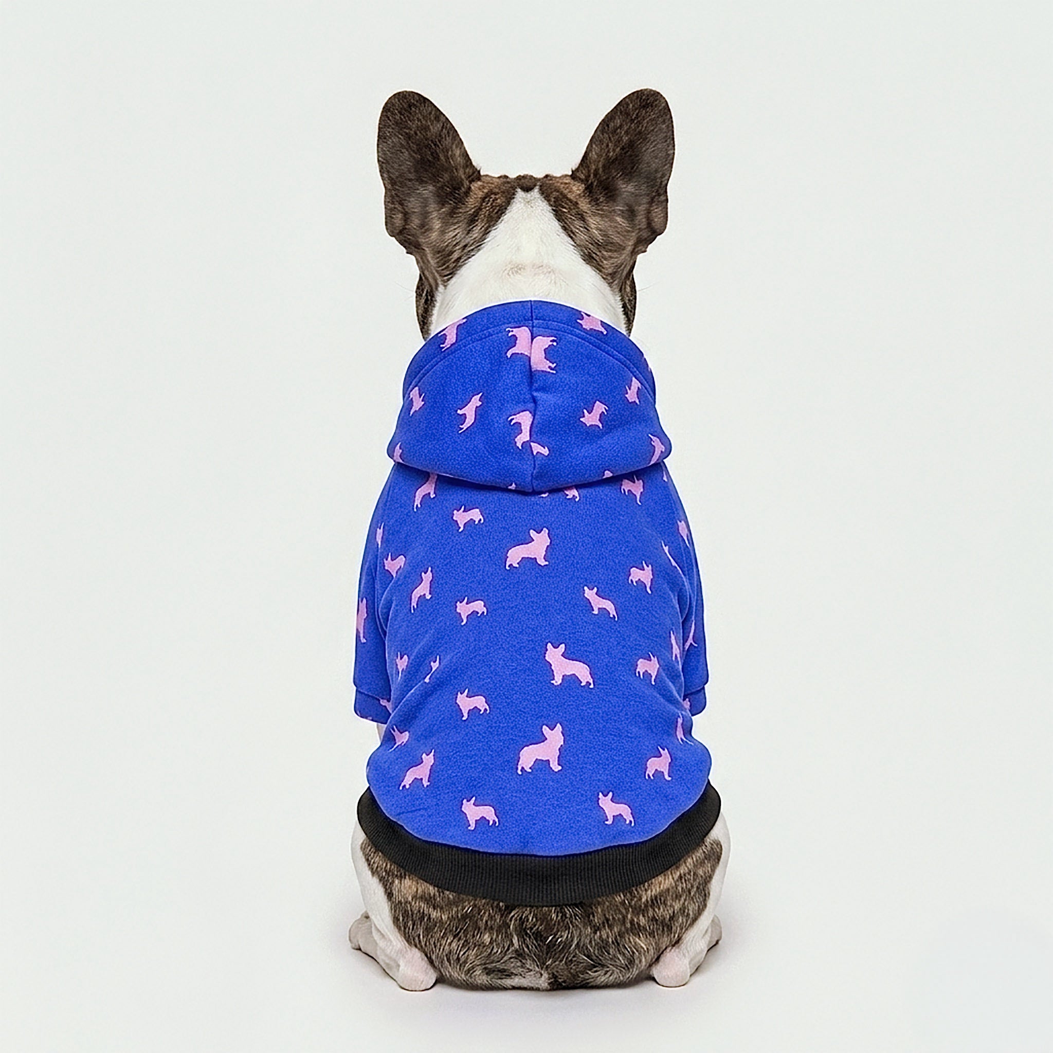 Meeboo Cameo Hoodie for Small Dogs in Frenchie Royal Blue