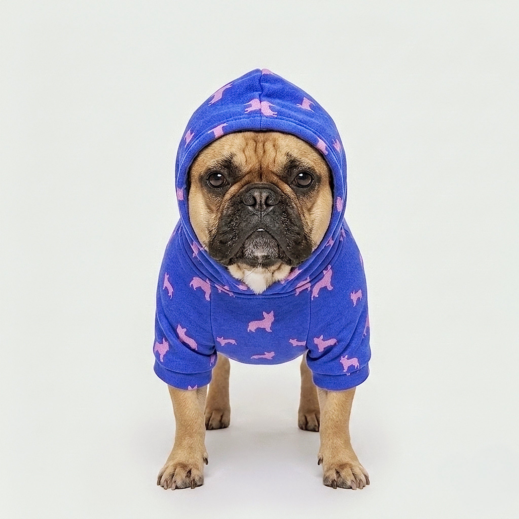 Meeboo Cameo Hoodie for Small Dogs in Frenchie Royal Blue