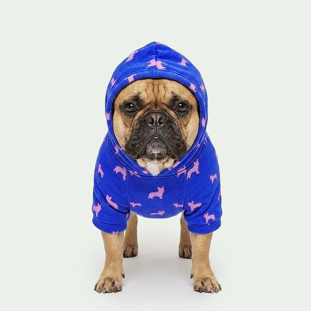 Meeboo Cameo Hoodie for Small Dogs in Frenchie Royal Blue