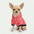 Meeboo Cameo Hoodie for Small Dogs in Frenchie Melon & Lilac
