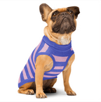 Meeboo Swirl Stripe Knitted Pet Sweater in Royal Violet